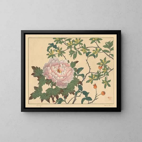 Pfingstrose - Sakai Hōitsu — gerahmtes Bild an der Wand