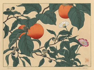 Sakai Hoitsu - Persimmon.webp