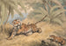 a tiger pierced by an arrow - Samuel Howitt — artwork view