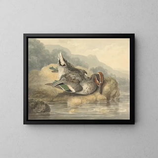 Samuel Howitt - Dead Teal.webp