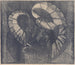 Begonia mit Ahornblättern - Samuel Jessurun de Mesquita — Ansicht des Kunstwerks