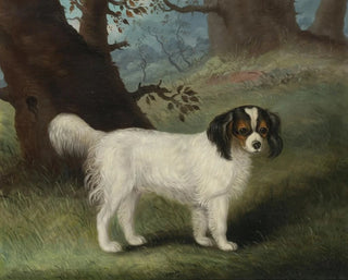 Samuel Spode - King Charles Spaniel.webp
