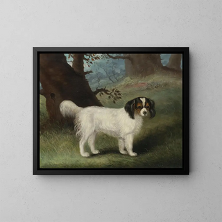 Samuel Spode - King Charles Spaniel.webp