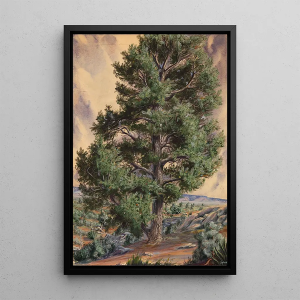 Pin - Sandow — framed artwork on a wall