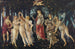 Il Primavera - Sandro Botticelli — vista dell’opera