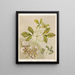 1 Phebalium nudum 2 Melicope ternata flower and fruit - Sarah Featon — framed artwork on a wall