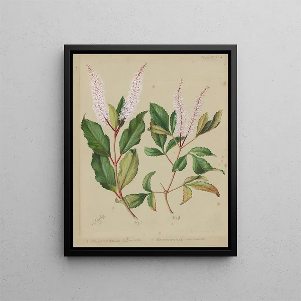 Lavoro rosso - Sarah Featon — quadro incorniciato alla parete