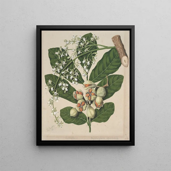Rien - Sarah Featon — quadro incorniciato alla parete
