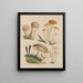 Illustrations des champignons de nos champs et de nos bois pl03 - Sarah Price — framed artwork on a wall