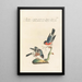 Ornithologia methodice digesta Pl303 - Saverio Manetti — gerahmtes Bild an der Wand