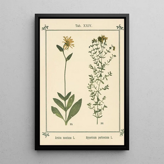 Sebastian Kneipp - Plantatlas to My watercure Pl04.webp