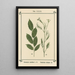 Atlas of Plants for My Water Cure Pl13 - Sebastian Kneipp — framed artwork on a wall