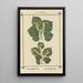 Atlas of Plants for My Water Cure Pl17 - Sebastian Kneipp — framed artwork on a wall