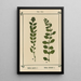 Atlas des plantes pour Ma cure d'eau Pl20 - Sebastian Kneipp — framed artwork on a wall