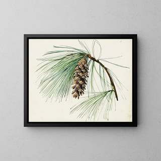 Sergey Chekhonin - A pine cone spray.webp