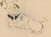 Zeshin iboku tairyukyo gafu Pl08 - Shibata Zeshin — vista dell’opera