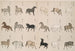 An illustration of horses - Shigeo Inoue — artwork view