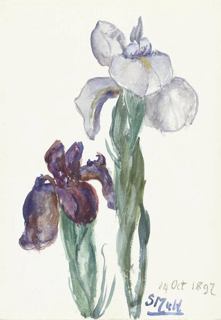 Sientje Mesdag Van Houten - Irissen.webp