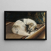 Hund ruhend - Sigrid Granfelt — gerahmtes Bild an der Wand