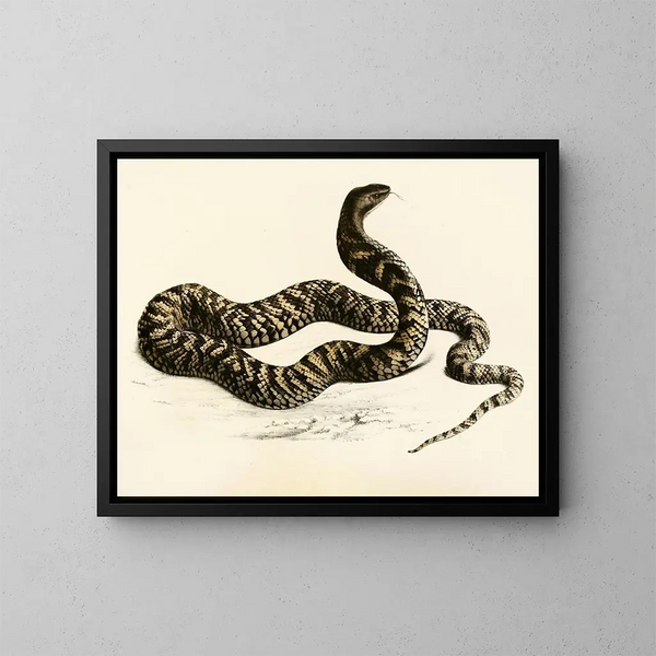 Naja haematochetes - Sir Andrew Smith — quadro incorniciato alla parete