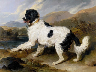 Sir Edwin Henry Landseer - Lion A Newfoundland Dog.webp