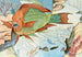 Parrot Fish - Stephen Haweis — artwork view