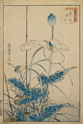 Sugakudo - Bird over Poppies.webp