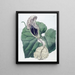 Aristoloche à fleurs de bateau - Sydenham Edwards — gerahmtes Bild an der Wand