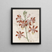 Variété à grandes fleurs du Trompette Schomburgkia - Sydenham Edwards — gerahmtes Bild an der Wand