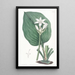 Eurycles von M. Cunningham - Sydenham Edwards — gerahmtes Bild an der Wand