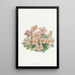 Oxalis di Piotta - Sydenham Edwards — quadro incorniciato alla parete