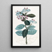 Calotropis haut - Sydenham Edwards — framed artwork on a wall