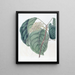 L'Arbre Adragante de Sierra Leone - Sydenham Edwards — gerahmtes Bild an der Wand