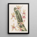 Le cymbidium à feuilles épaisses - Sydenham Edwards — gerahmtes Bild an der Wand