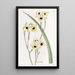 Iris bicolore - Sydenham Edwards — quadro incorniciato alla parete
