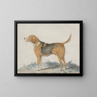 Sydenham Teast Edwards - Hound Standing profile facing left.webp
