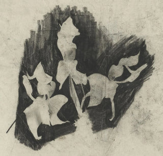 Tak orchideen - Carel Adolph Lion Cachet