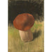 Riproduzione del dipinto The Mushroom - Franz von Stuck