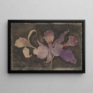 Theo Nieuwenhuis - Paarse orchidee.webp