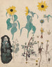 Study sheet on sunflowers, symphorine, and blackthorn - Theo Nieuwenhuis — artwork view