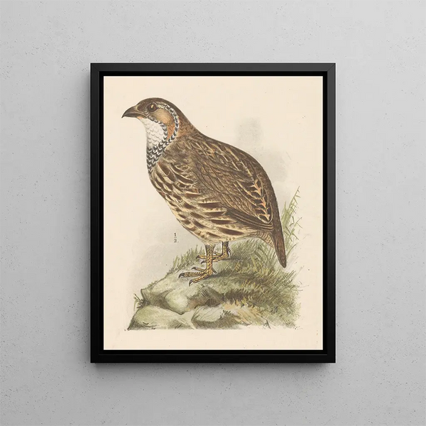 Theo van Hoytema - Partridge.webp