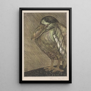 Theo van Hoytema - Schuitbekreiger in de regen.webp