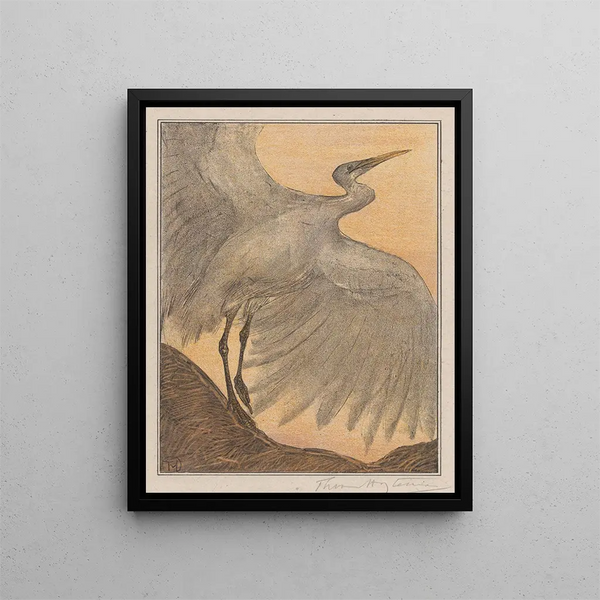 Theo van Hoytema - Zilverreiger.webp