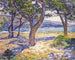 La Méditerranée à Le Lavandou - Theo van Rysselberghe — vista dell’opera