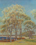 Marais d'Ipswich - Theodore Wendel — vista dell’opera