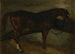 Cavallo marrone - Théodore Géricault — vista dell’opera
