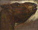 Studie eines toten Pferdes - Théodore Géricault — Ansicht des Kunstwerks