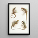 Cryptoblepharus Painting - Thomas Barbour — framed artwork on a wall