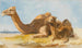 Due cammelli - Thomas Hartley Cromek — vista dell’opera