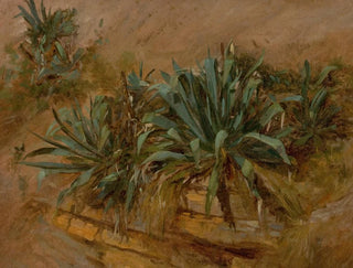 Thomas Hiram Hotchkiss - Study of Plants on a Rocky Wall.webp